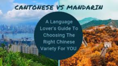 cantonese vs mandarin